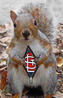 Rally-squirrel